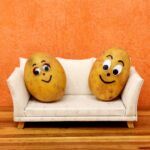 Institute of Couch Potato Science (ICPS)