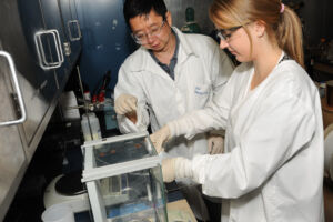 Researchers working on "Project Caffeine"