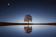 a-midnight-reflection-the-speaker-of-the-houses-moment-of-prayer-at-3-a-m-2.jpeg