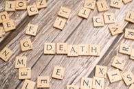 cambodia-records-fourth-bird-flu-fatality-of-the-year-11-year-old-boy-dies-2.jpeg
