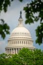 cdc-withdraws-covid-vaccine-guidance-for-healthy-children-and-pregnant-women-2.jpeg