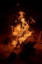 devastating-fire-destroys-8-5m-mansion-near-obamas-washington-d-c-home-2.jpeg