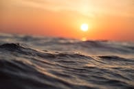 global-summit-in-france-to-address-un-declared-ocean-emergency-2.jpeg