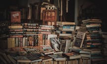 imaginary-reads-a-summer-book-list-of-nonexistent-novels-blamed-on-ai-2.jpeg