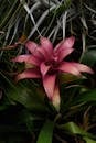 invasive-insect-threatens-health-across-19-states-experts-caution-2.jpeg