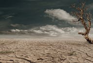 pacers-end-25-year-finals-drought-aiming-to-break-free-from-past-misfortunes-2.jpeg