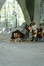 ranking-the-most-sleep-deprived-cities-in-the-us-find-out-where-yours-stands-2.jpeg