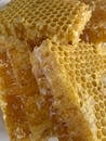 Truck Overturns in Washington State, Millions of Honeybees Swarm the Scene