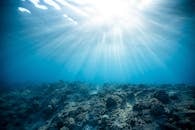 trump-administration-to-assess-proposal-for-seabed-mining-leases-of-essential-minerals-2.jpeg