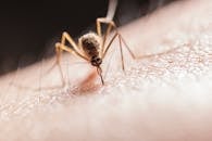 west-coast-officials-raise-alarm-over-highly-contagious-viral-disease-diagnosis-in-traveler-2.jpeg